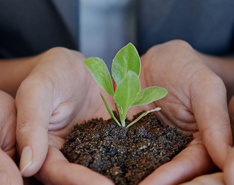 AG�콢��|�й�Ψһ�ٷ���վ