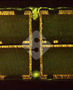 AG�콢��|�й�Ψһ�ٷ���վ