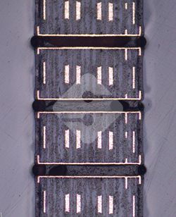 AG�콢��|�й�Ψһ�ٷ���վ